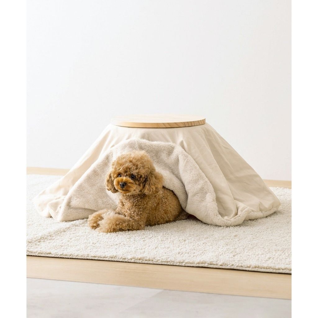 imgi_5_tw-11134207-81ztd-mh7oynlvbea7f5