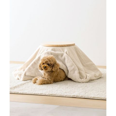 imgi_5_tw-11134207-81ztd-mh7oynlvbea7f5