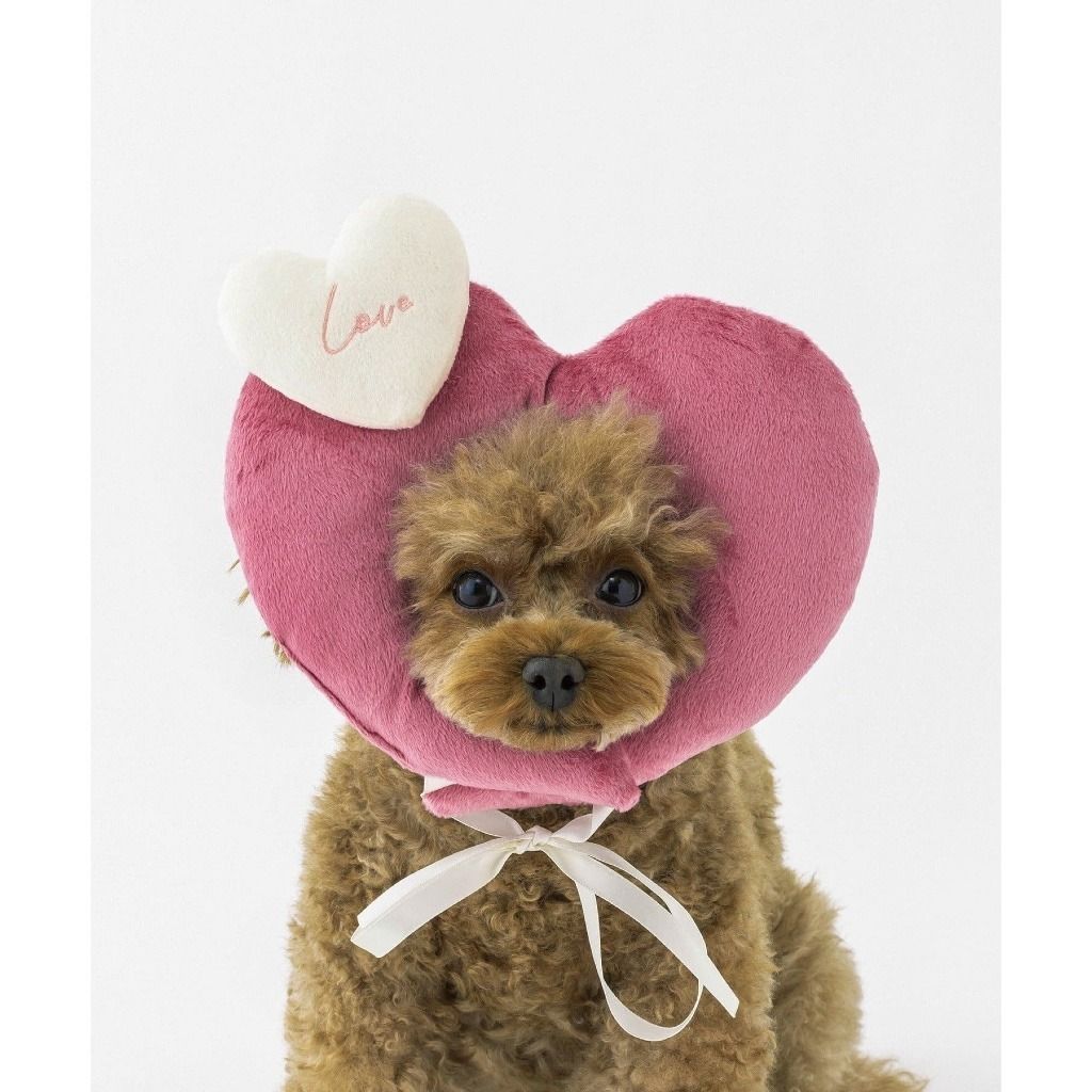 imgi_7_tw-11134207-81ztf-mjm3ddf485xi5f