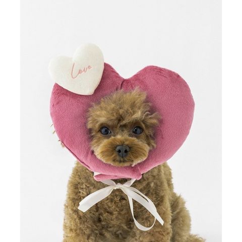 imgi_7_tw-11134207-81ztf-mjm3ddf485xi5f