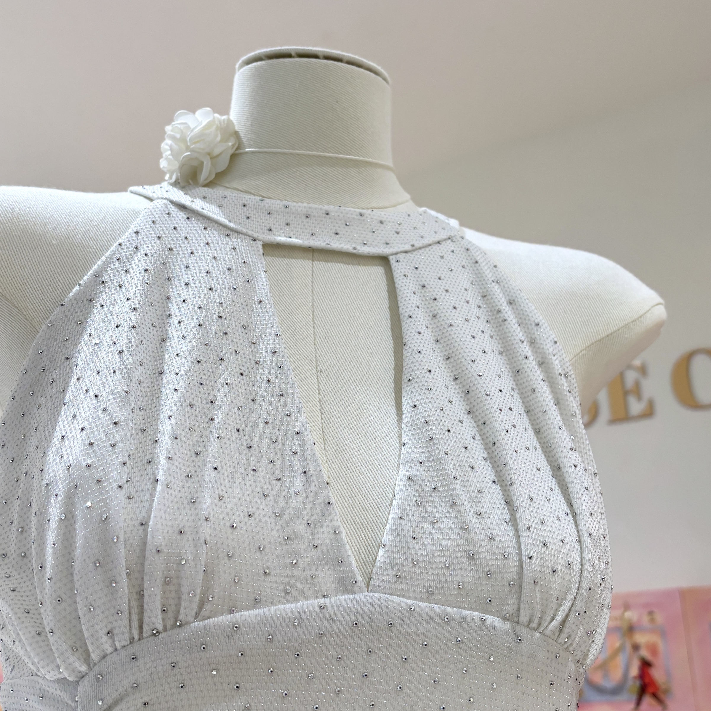 image_670099E9-EE23-42B1-B727-16753A896C9E_1767505328