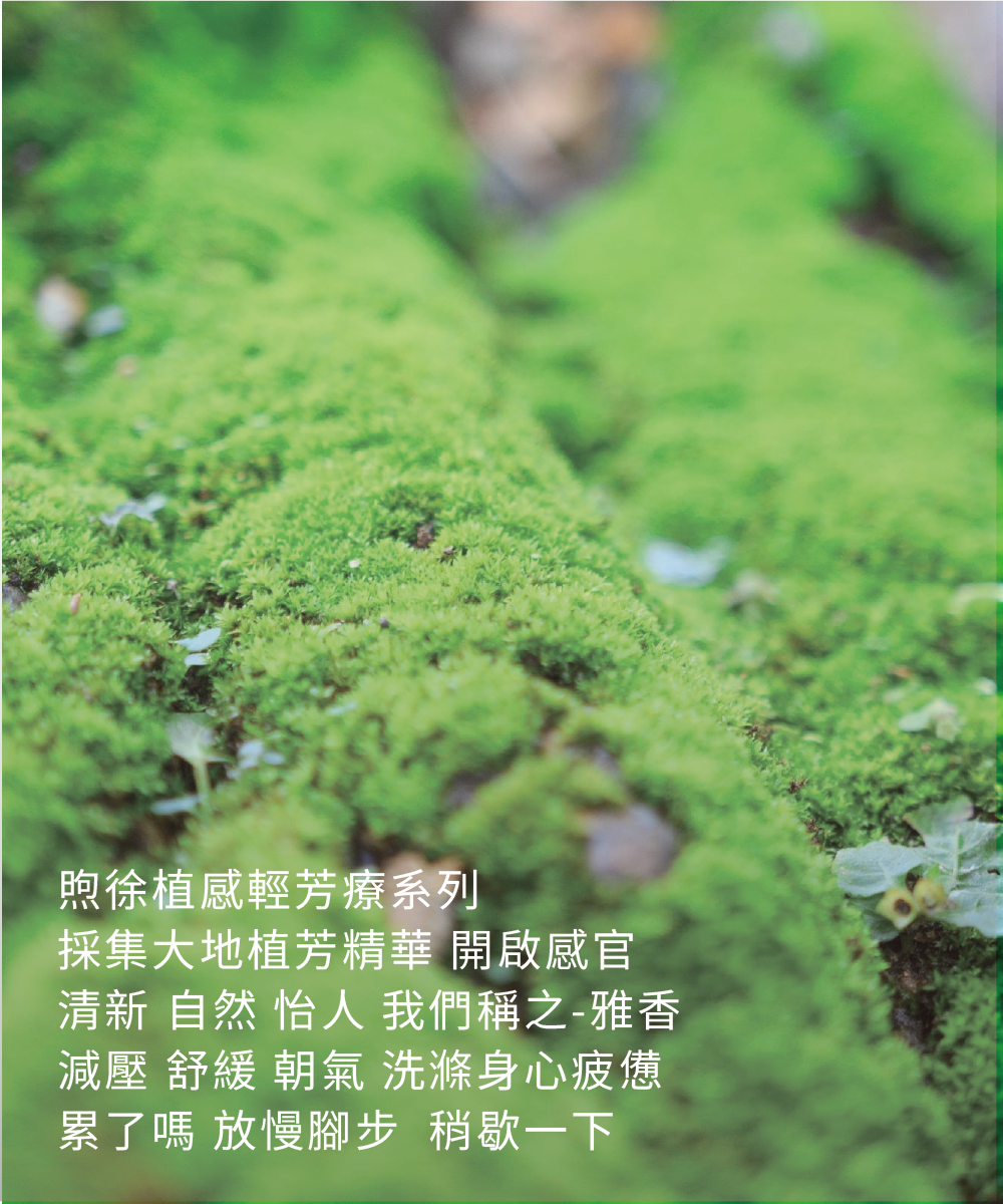 煦徐 susuna 滾珠精油 幫助睡眠 芳療 SPA 減緩壓力