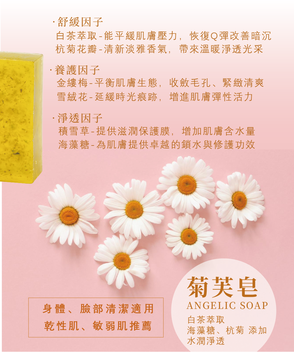 煦徐 手工皂禮盒 美麗佳人禮盒 企業贈禮 ESG