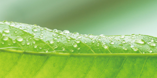 隨身水補給！保濕噴霧「噴」出全天候透亮肌