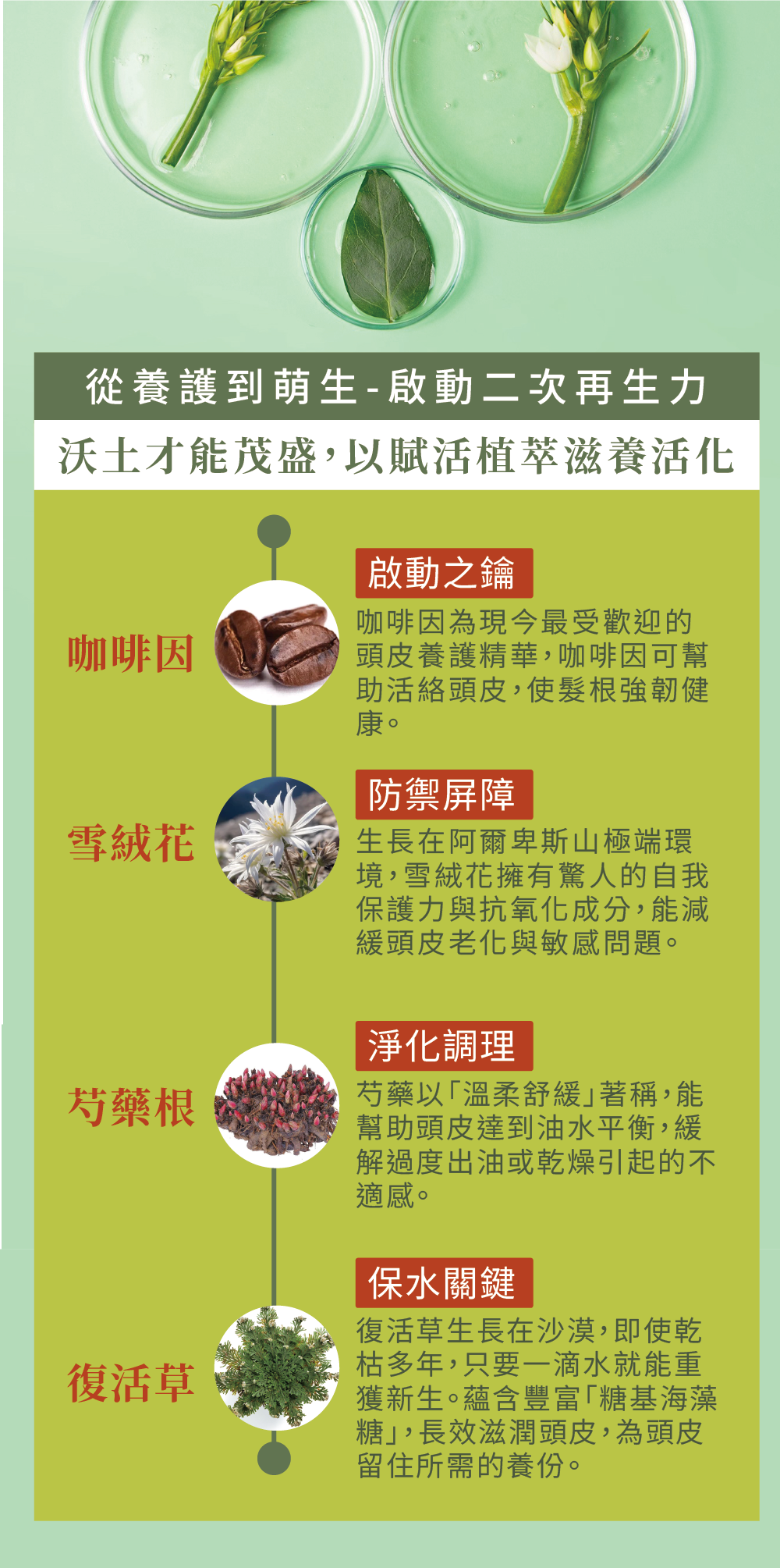 煦徐 susuna 特惠組 優惠 雙肌養護新生組