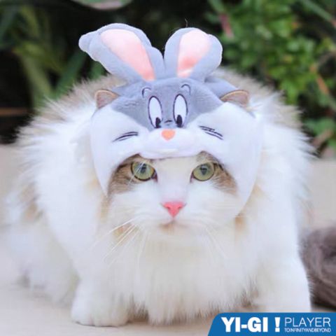 tw-11134207-7rbk8-m8ko3x2gkwft94