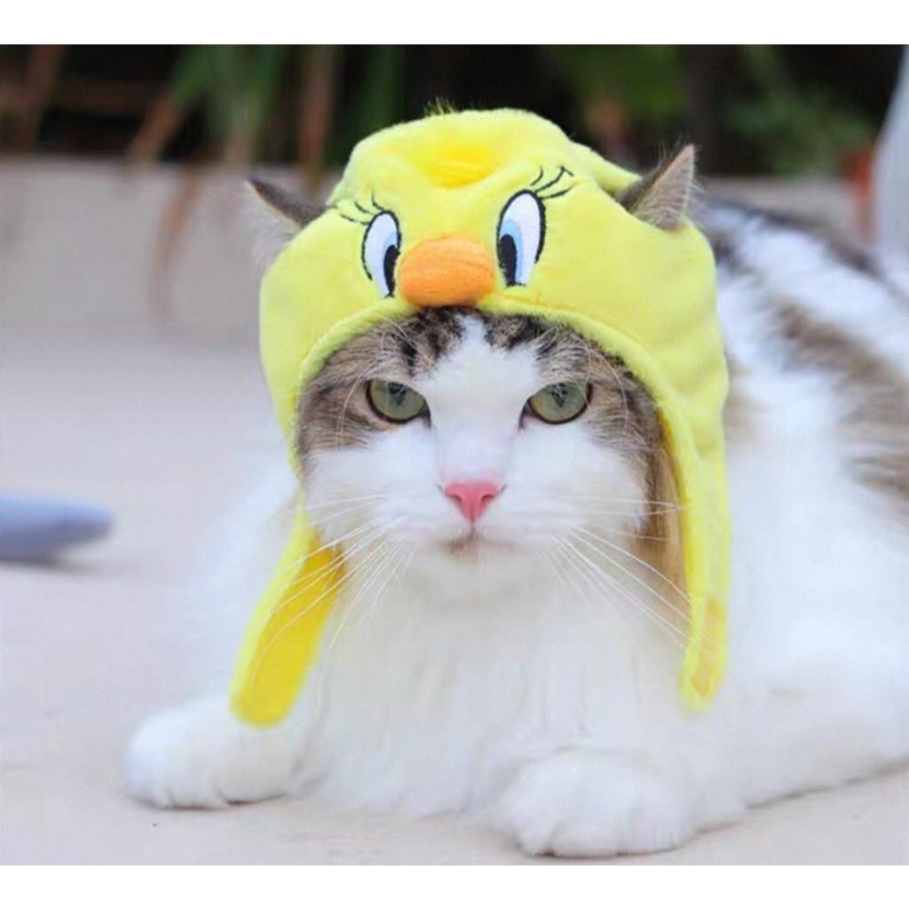 tw-11134207-7rbk0-m8kno1xibwyoc7