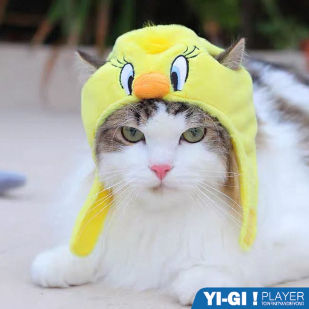 tw-11134207-7rbkb-m8knea1v9gud4b