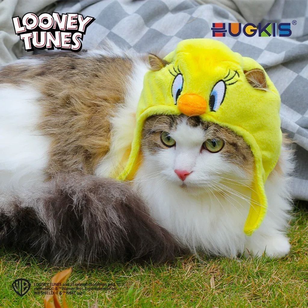 tw-11134207-7rbk7-m8knea0hbi5ce8