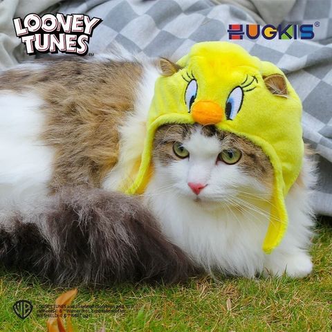 tw-11134207-7rbk7-m8knea0hbi5ce8