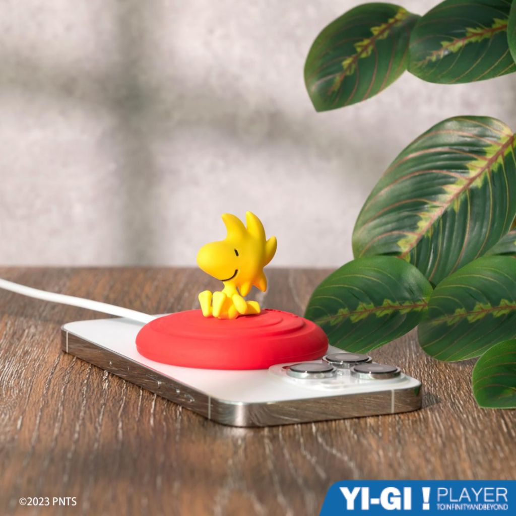 tw-11134207-7r98z-lr0fknemvyz68d