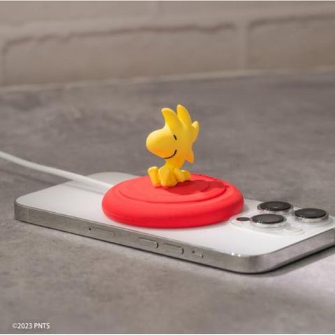 tw-11134207-7r98o-lojr62nlpwui23