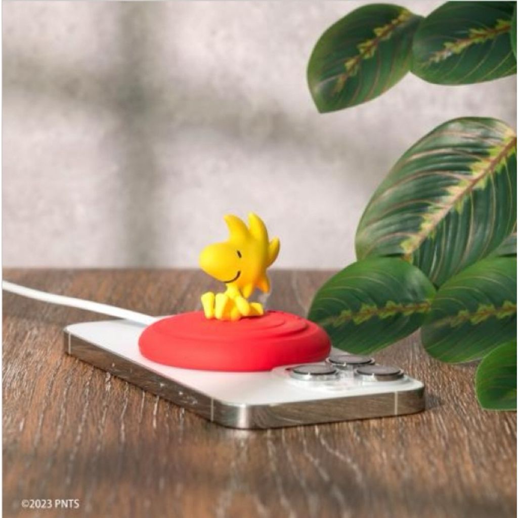 tw-11134207-7r98o-lojriuech11me5