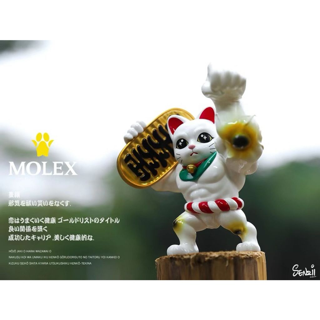 tw-11134207-7r98p-lsznzchgalsi72