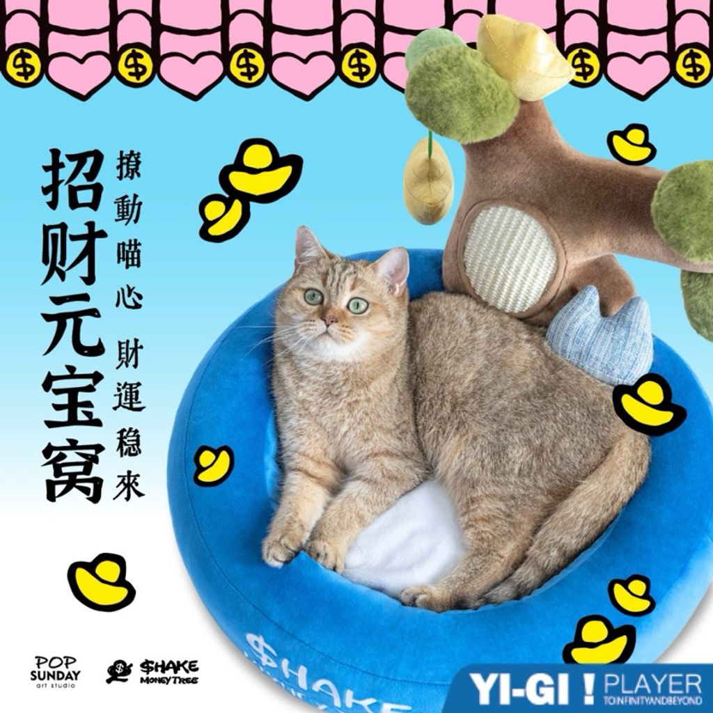 tw-11134207-7r98u-lv5xw9x2z67d5a