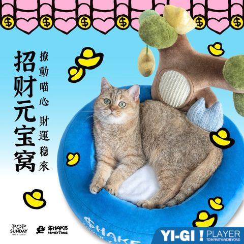 tw-11134207-7r98u-lv5xw9x2z67d5a