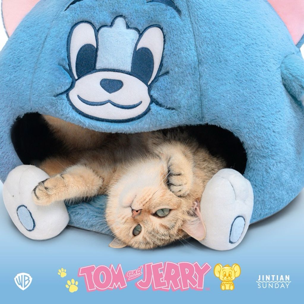 tw-11134207-7r98v-lv0mpe6ewn3s69