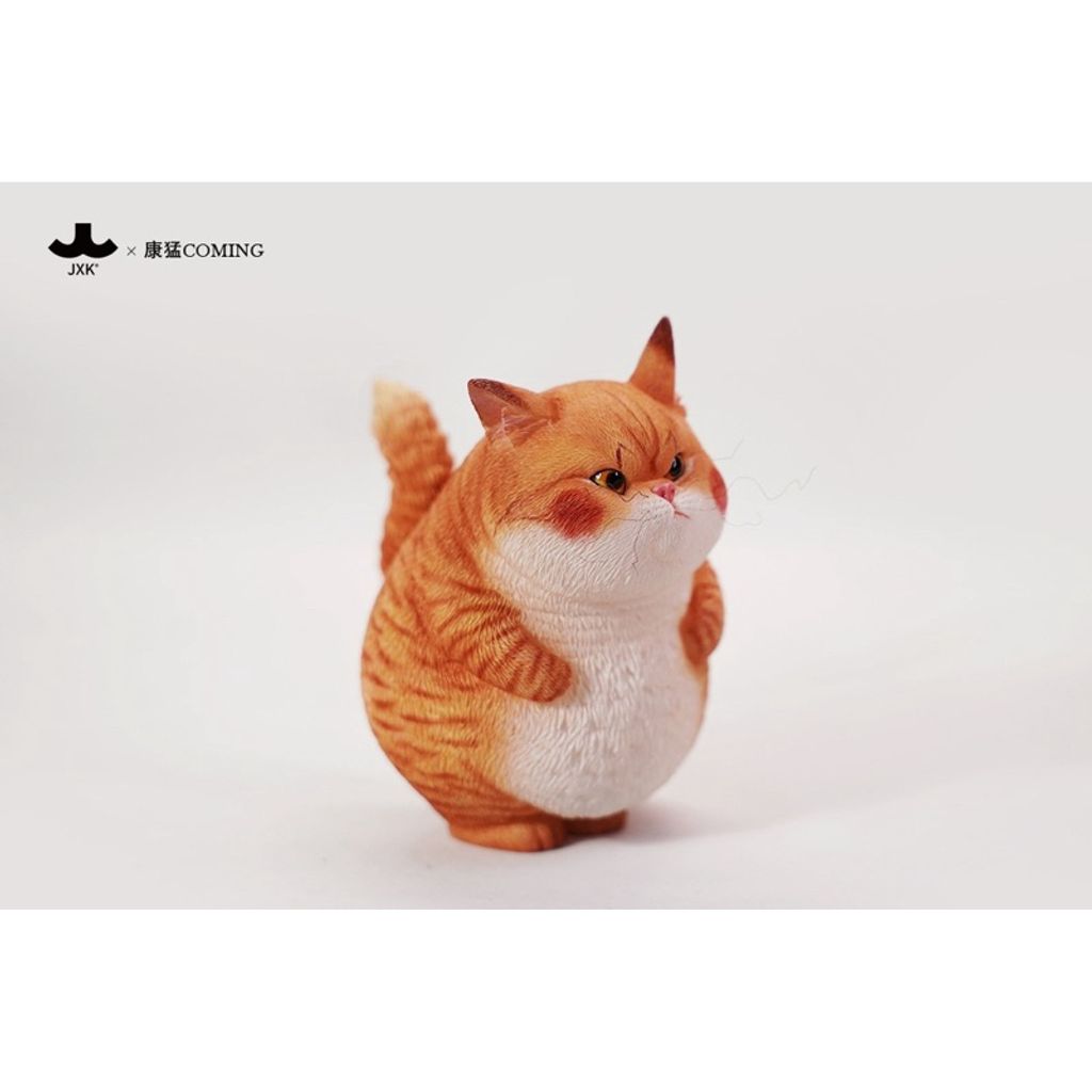 tw-11134207-7rasl-m12x2a73izi7e0