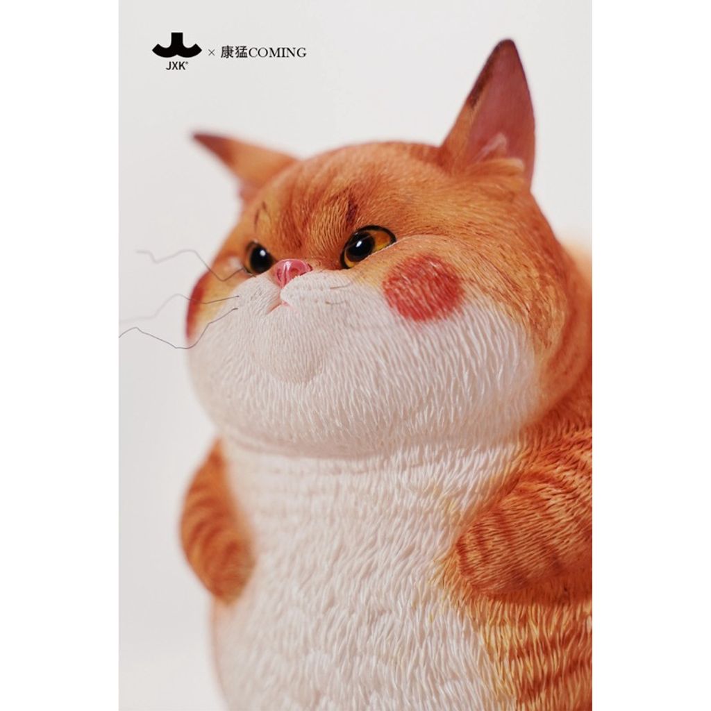 tw-11134207-7rasd-m12x2a758shr7c