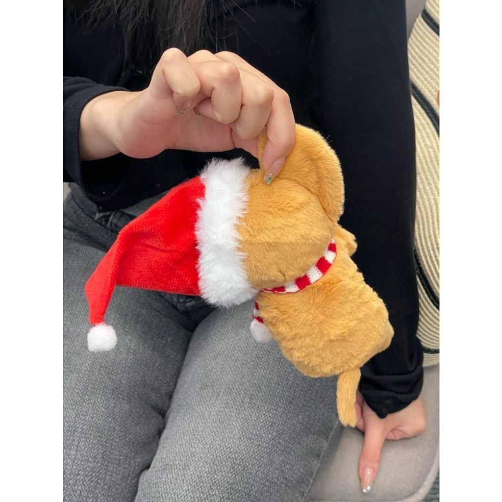 tw-11134207-7rasc-m36mef5p55jr25