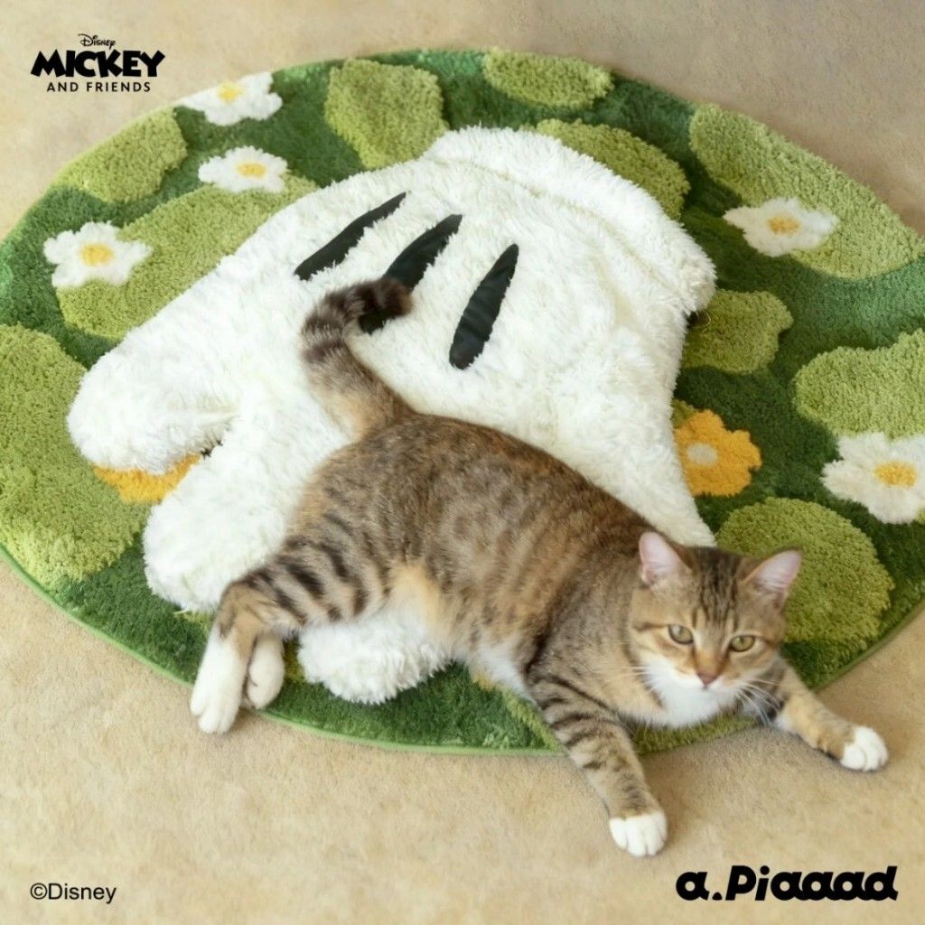 tw-11134207-81ztd-mgjj10e02jny4e