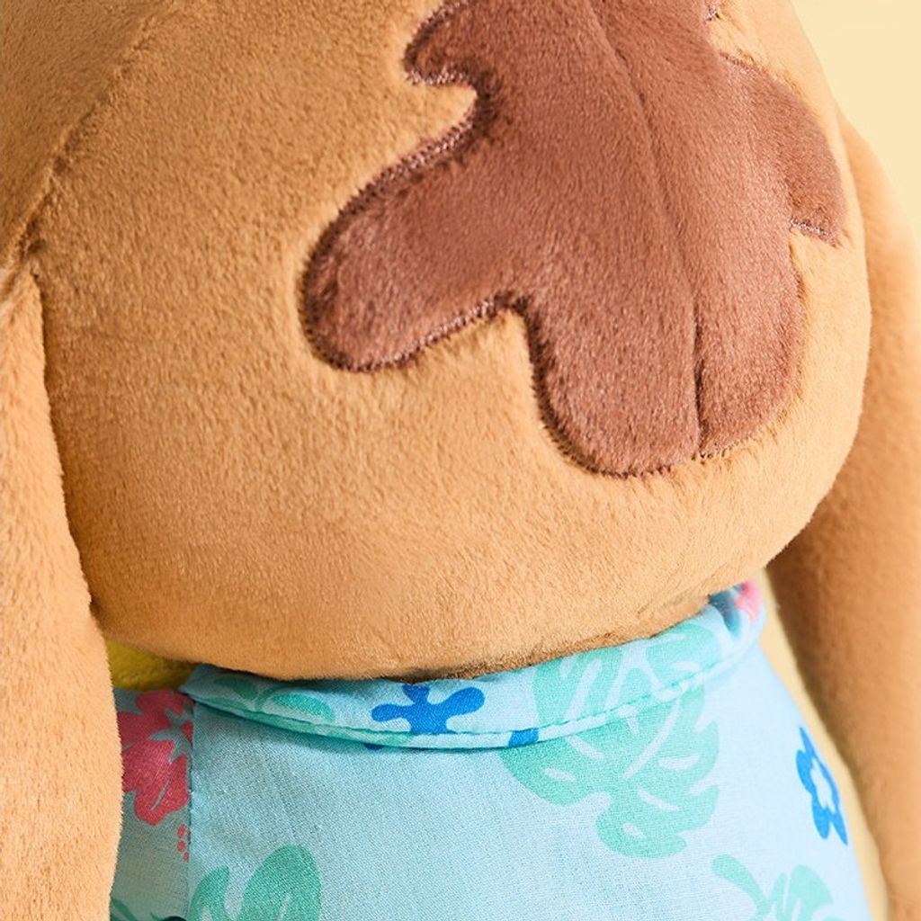 tw-11134207-81ztg-mirhnof2w6q097