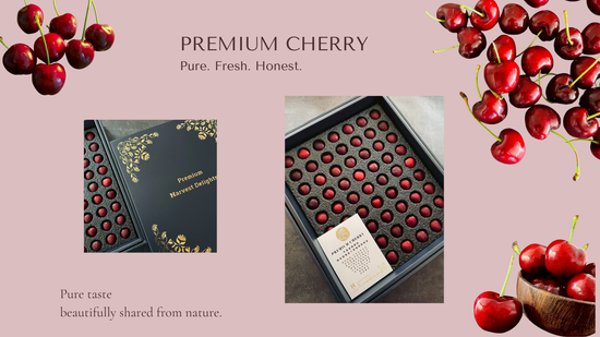 每一份果實，都是自然的禮物 | 宏祖水果-全台第一侍果師