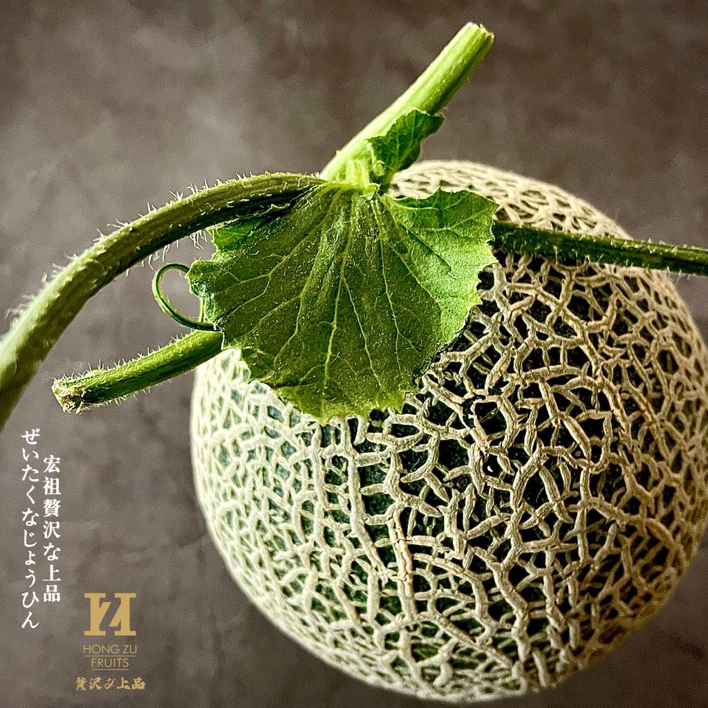 image_26711978-0C03-4AF6-87DF-817E72C341BA_1773103637