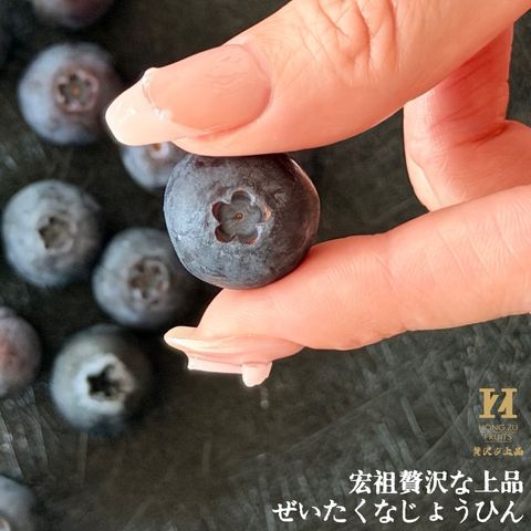 image_66BDED1C-DCF0-45D6-A483-A5F7C91964A2_1774922639