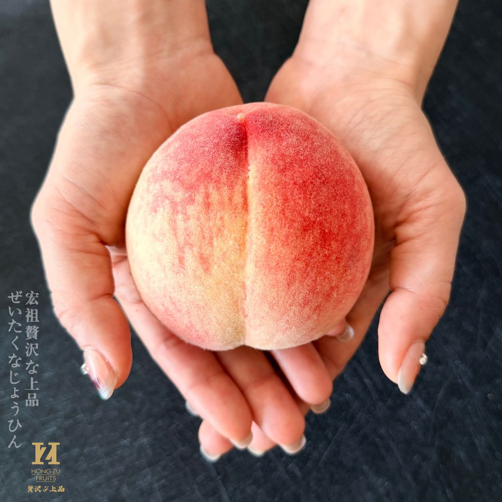 image_F80DC7AB-3DCC-4DB3-8181-0B1D71797EE4_1776821938
