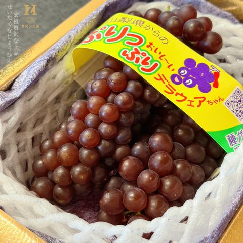 image_CA2F90BE-01A5-4B2F-ADCB-3106C1B823CE_1776827703