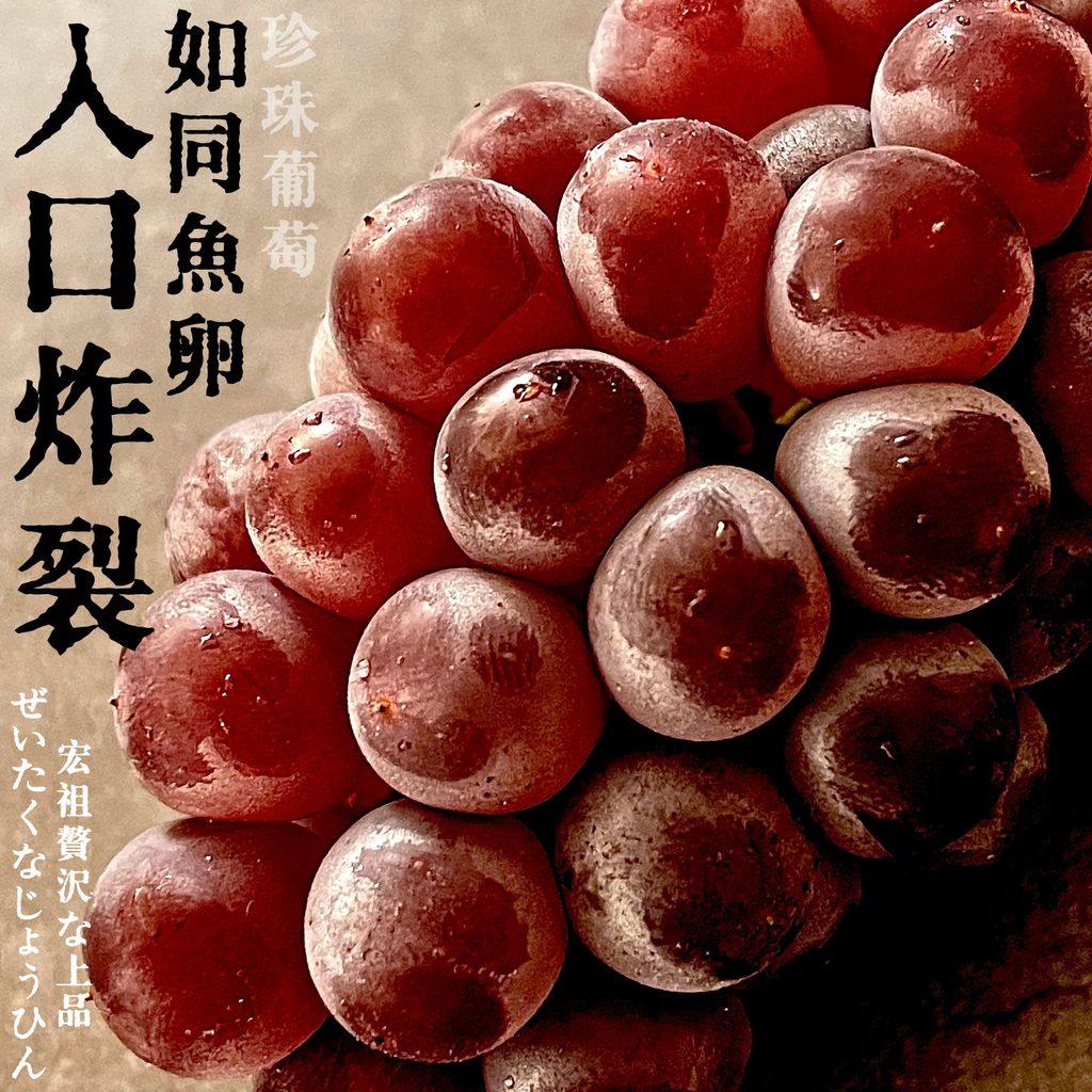 image_C6F83767-A0D0-473D-B33C-93831E19A4CF_1776827703