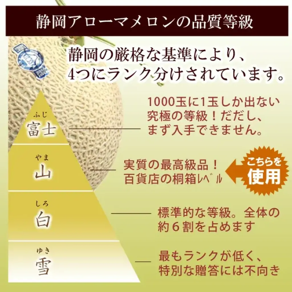 image_2EF7CBDC-2293-4E00-A4A9-2D82E2E4D983_1778813207