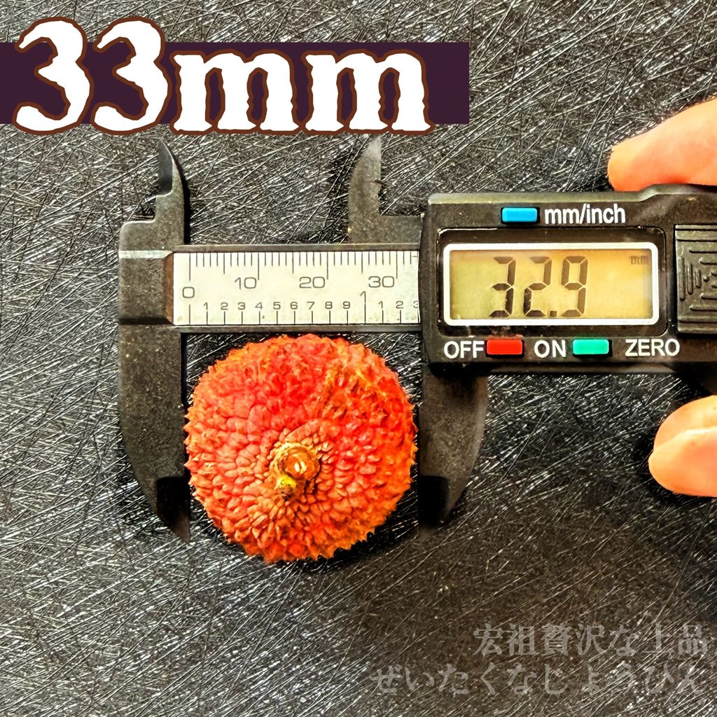 image_453FF3CA-6A81-405C-BB1A-49EE4A6D24F8_1779066403