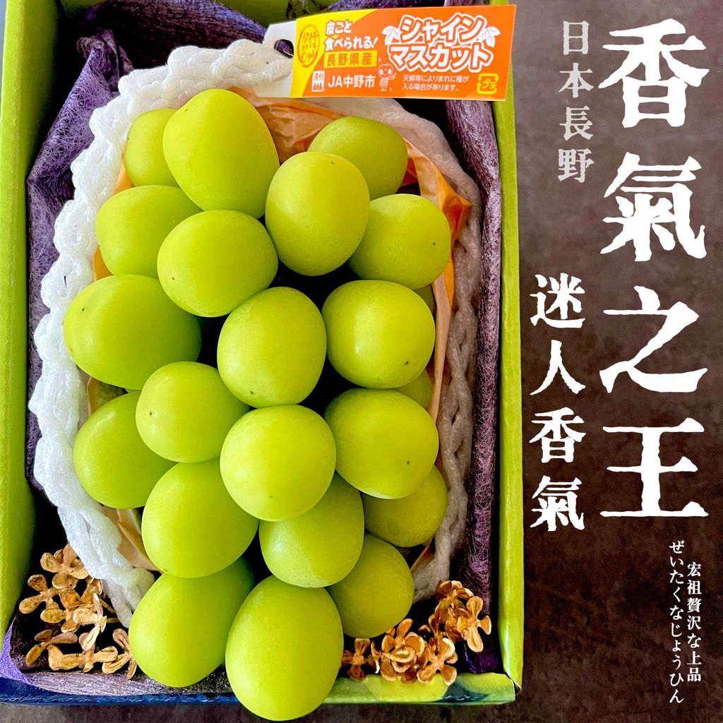 image_3AB195A0-4856-41BA-AB30-D74EE5A746E5_1782168971