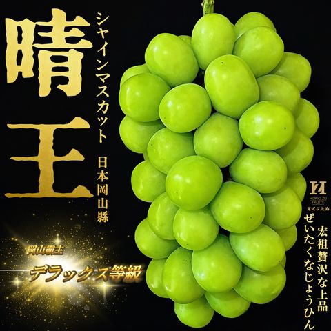 image_36439007-12CC-492E-89EA-73C249EFF9FB_1782804483