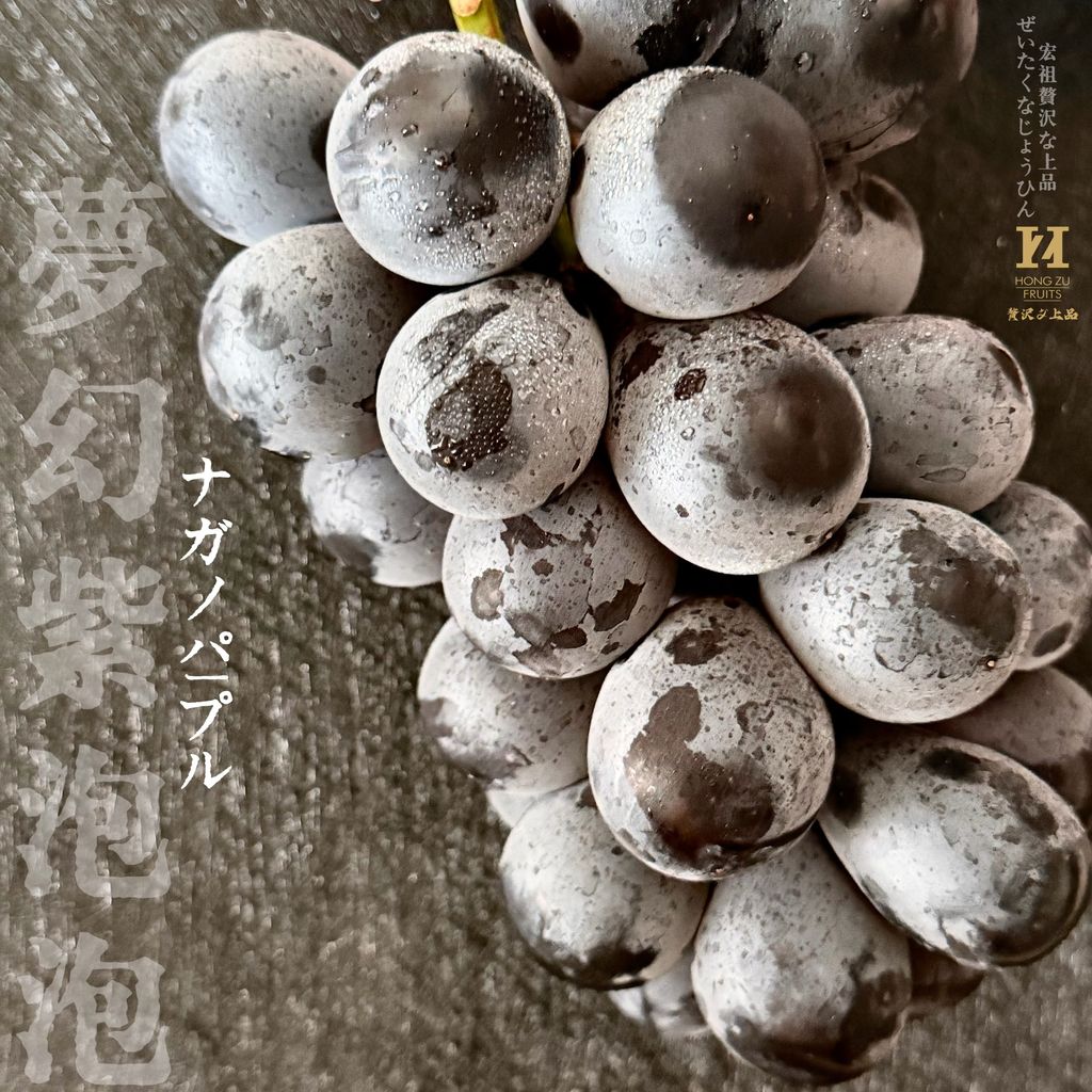 image_D30FD87C-E65E-49D3-B9E5-0ECF494E4D3E_1785229154