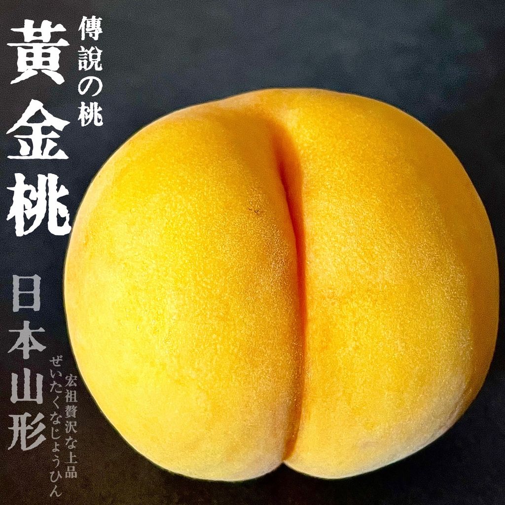 image_CF80C20D-31E8-4643-8C30-D27BE34C7A8D_1787296693