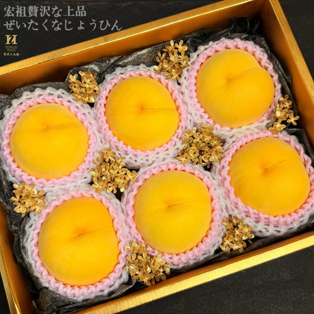 image_B46CE582-BBAF-47DC-89AE-7452C9D605A7_1787296693