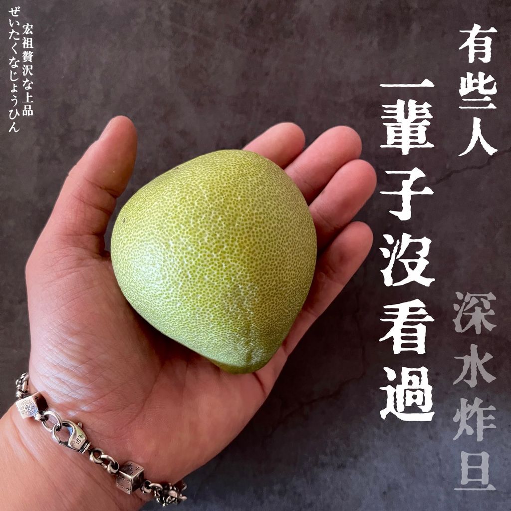 image_AFC0872F-1A2E-4034-9CEA-6E775C449252_1788511103