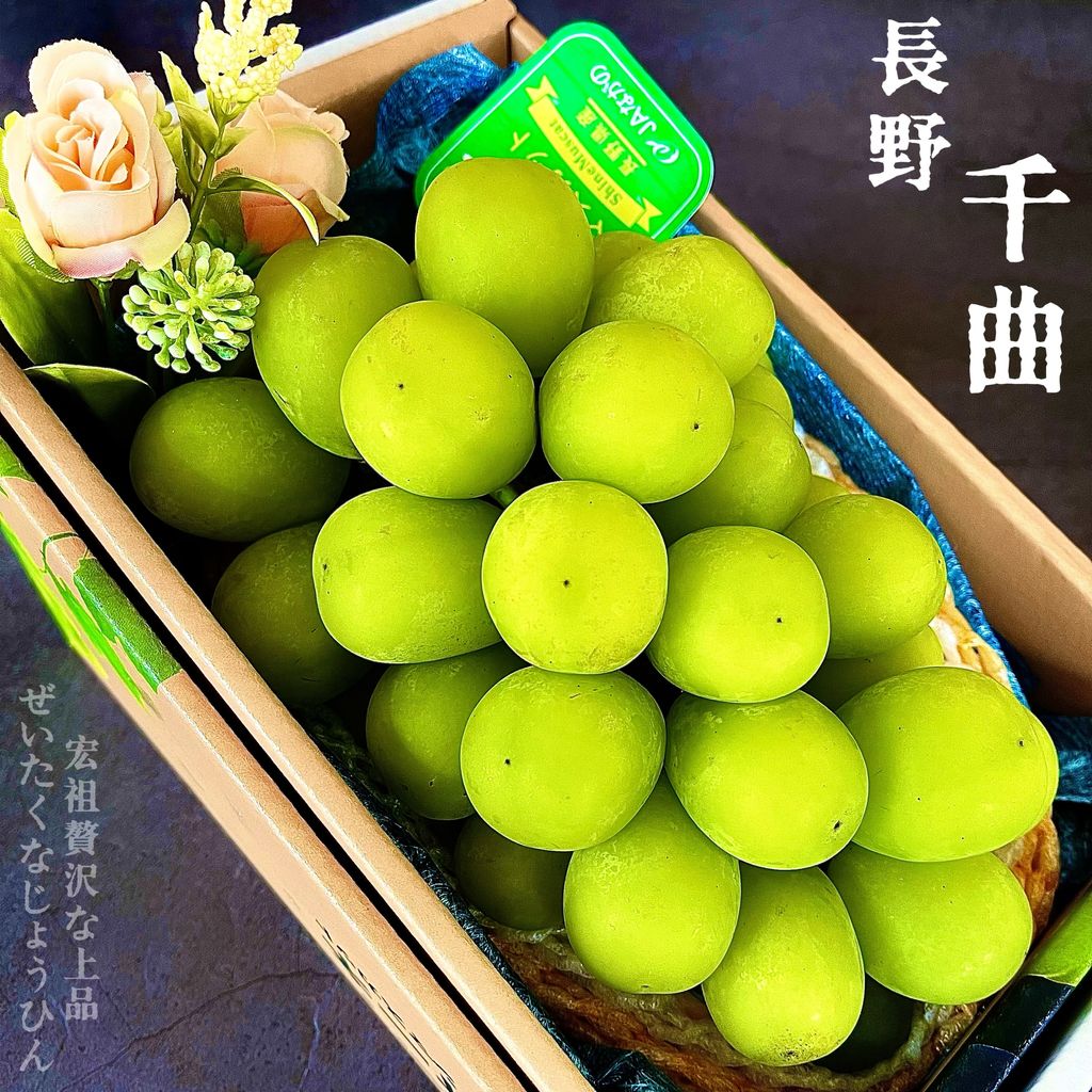 image_BB45FED8-3E10-4E17-80E2-CC4471CA349F_1760780707