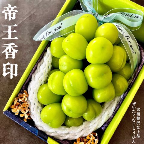 image_201CE1A3-E4EF-461C-8921-26DB5E98D27F_1760780792