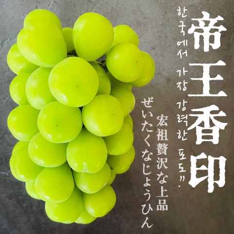 image_DBCC23CD-C9CD-42A4-B70B-3EF3D733F96D_1760780792