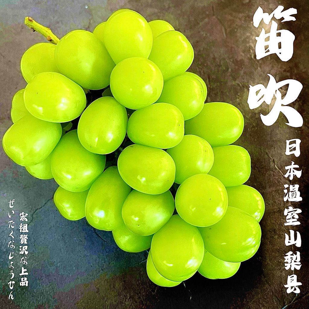 image_7E9A0D2D-F162-4327-95CF-A4B1A9574BF2_1760781148