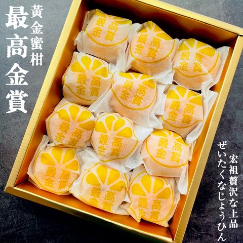 image_36887E21-24A3-4680-BAE5-A2DE097F3044_1760781551