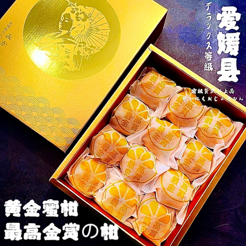 image_C38ED56C-D269-4D7A-BB83-5F7C5BD0907D_1760781551