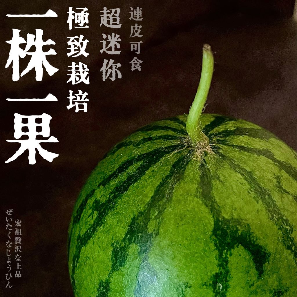 image_3DFD92B4-8EA1-445B-AB8F-3645CA164328_1760783114