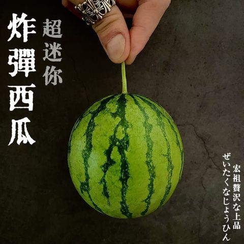 image_E66731A5-B61B-4CE6-BC0D-B207D8CF1C81_1760783114