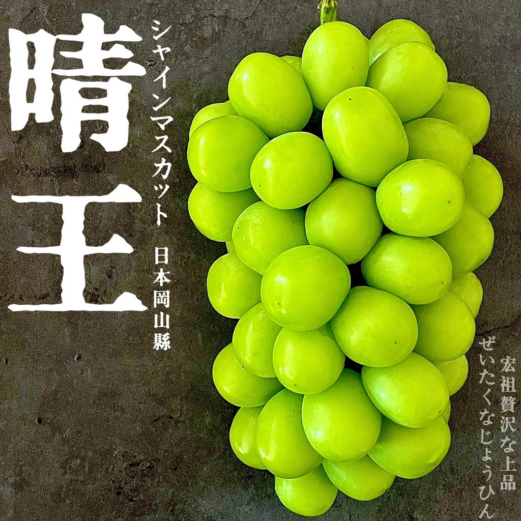 image_847BD53D-819D-44D2-9A9D-3B901AFB2202_1761478472