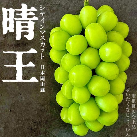 image_847BD53D-819D-44D2-9A9D-3B901AFB2202_1761478472